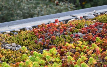 the cost of Fence green roof installation