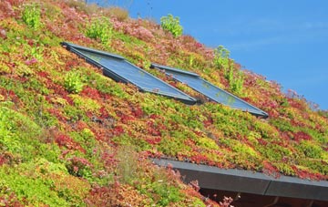 Fence living roof systems