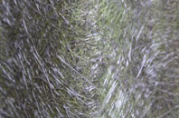 Fence fibreglass roof work